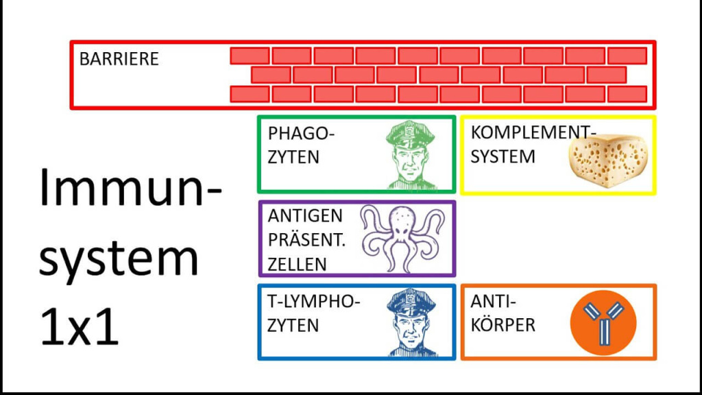 Graphic on Immune Defense, Showing Components Such as Phagocytes, Complement System, Antigens, and Antibodies.
